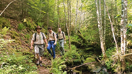 Pfadfinder auf einem Hike in der Natur