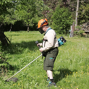 Freischneider