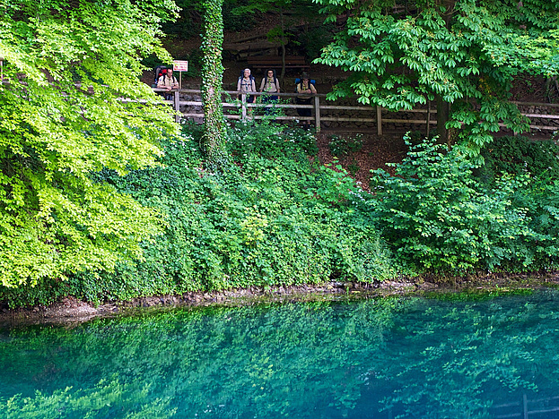 Pfadfinder überhalb des Blautopfs