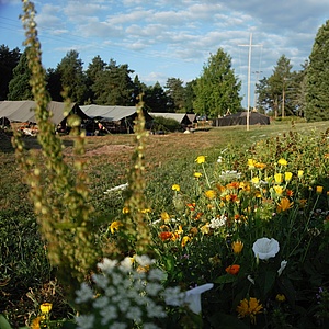 Idyllisches Sommerlager in Karlsbad Ittersbach