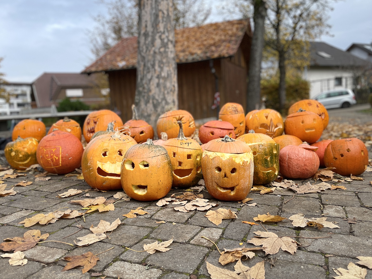Viele Kürbisgesichter